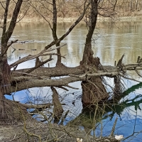 Na skupštini “Smuđa” Črnkovci