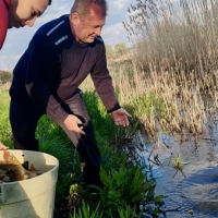 Proljetno poribljavanje ribolovnih voda